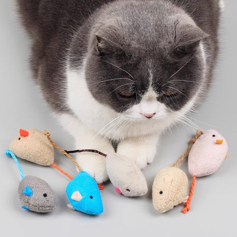 Portable Soft Interactive Plus - Catnip Interactive Plush Mouse review and price
