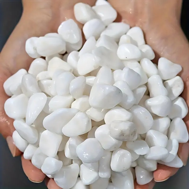 1L High-Quality Perlite Succul - Pet Beds review and price