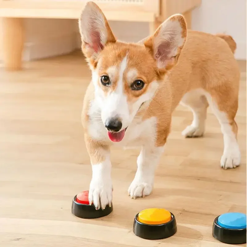 2026 Recordable Talking Pet Bu - Interactive Squeaky Plush Dog Toy review and price