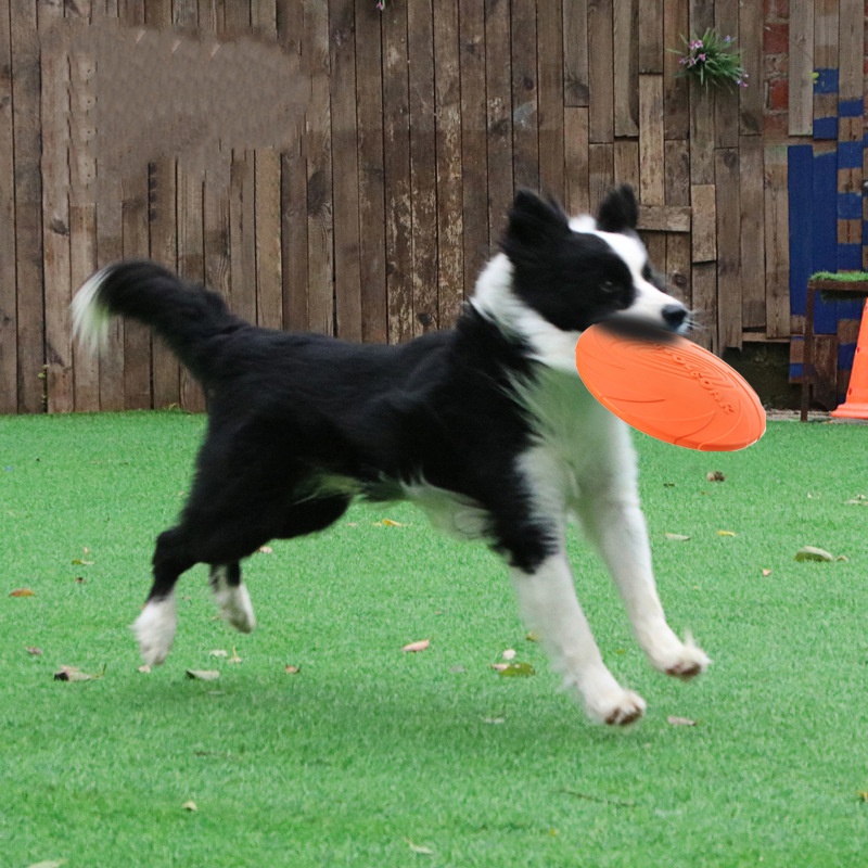 Interactive Silicone Flying Sa - Indestructible Dog Chew Toy review and price