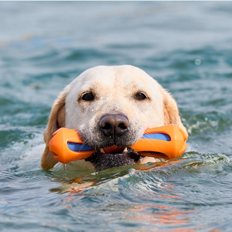 Dog Fetch Stick TPR EVA Floati - Indestructible Dog Chew Toy review and price