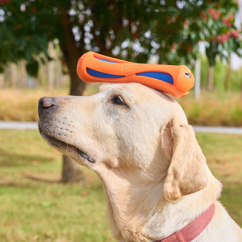 Dog Fetch Stick TPR EVA Floati - Indestructible Dog Chew Toy review and price